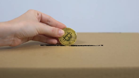 Hand Putting Bitcoin in Carton Box, Online Donation Service, Internet Payment