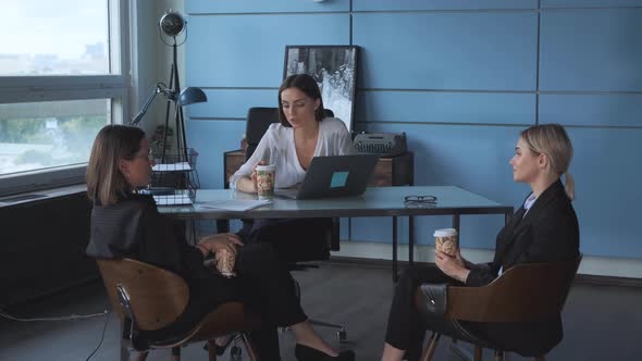 Three cheerful young beauty women colleagues working with documents and discussing