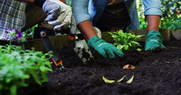 Senior couple planting plants