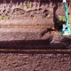 Backhoe is working in the garden. - VideoHive Item for Sale