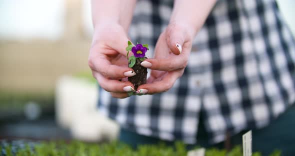 Young Female Botanist Examining Potted Plant