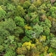 Flying Over Green Forest - VideoHive Item for Sale