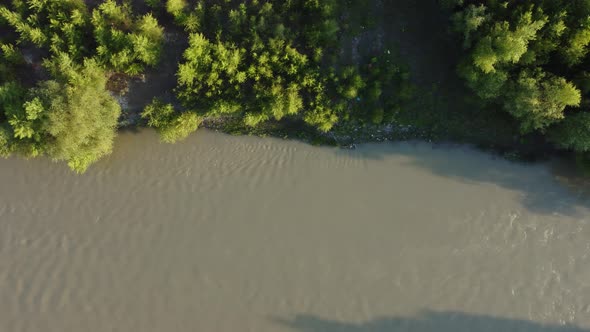 forest aerial view