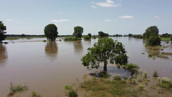 Floodplains and drowned trees at river Maas in the Netherlands, Aerial