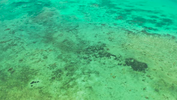 Transparent Blue Sea Water in the Lagoon