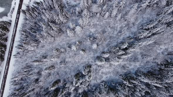 Railroad with forest from above in snow