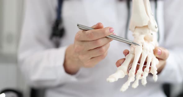 Orthopedic Doctor Looks at Skeleton of Ankle of Foot