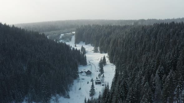 Aerial View of the Winter Forest and the Sun Snow Flying Into the Camera