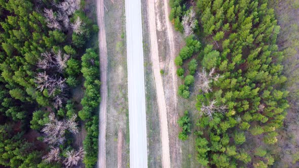 Aerial View of the Road Between the Forest