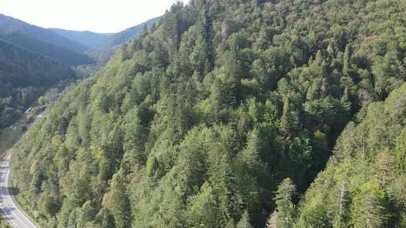 Aerial View of the Carpathian Mountains in Autumn. Ukraine