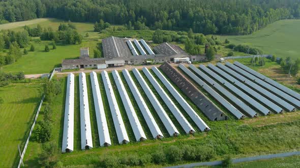 the vegetable plantation with valley and dense of trees in Lithuania. agricultural industry. 4K aeri