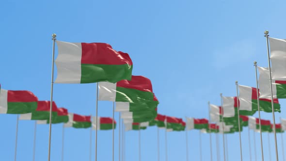 Madagascar Row Of Flags 3D Animation