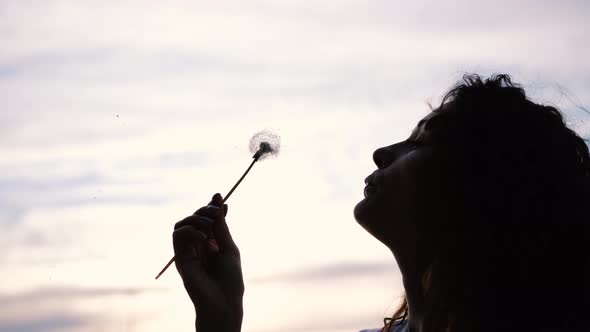 Portrait of a Beautiful Young Woman Blowing on a Ripe Dandelion in the Evening Against the Backdrop