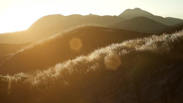 Sunset Over the Valley Fields alt