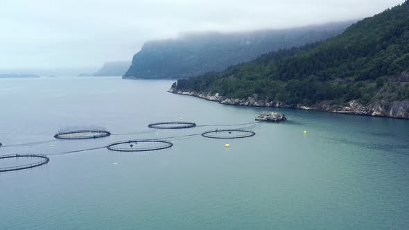 Farm Salmon Fishing in Norway