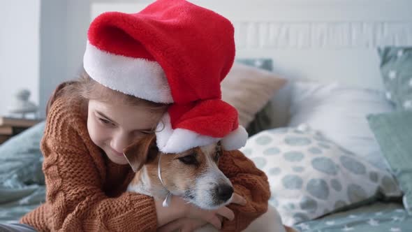 Little Happy Girl in a Knitted Winter Sweater Sits on a Made Bed with Her Little Dog Jack Russell in