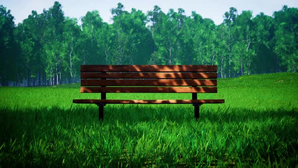 Shady Wooden Bench on the Windy Green Grass Park at Sunny Day 4K 01