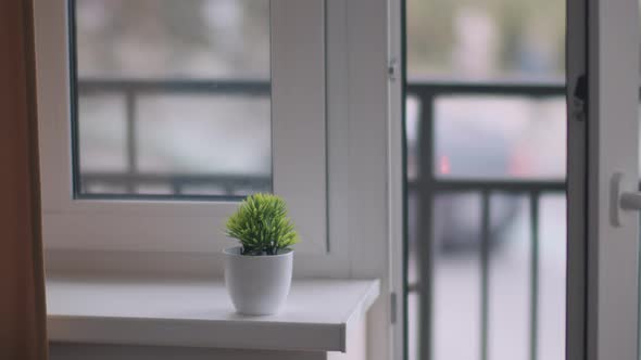 A Flower Stands on the Window on a Blurred Background Outside the Window Traffic on the Street