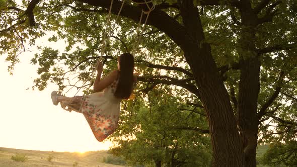 Child Swinging on a Swing in Park in Sun. Young Girl Swinging on Rope Swing on an Oak Branch. Teen