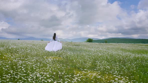 Beautiful Girl in Meadow of Camomile Flower