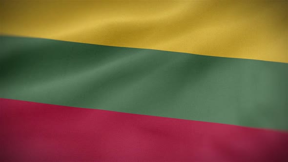 Lithuania Flag