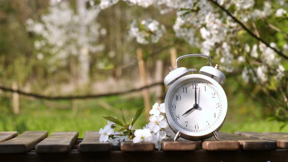 Alam clock on a wooden table in blooming trees garden in spring