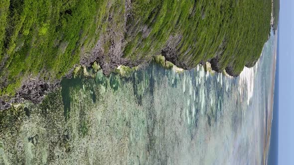 Zanzibar Tanzania  Ocean Shore Covered with Green Thickets Vertical Video Aerial View