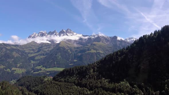 Flight over fir trees in front of the Dents du midi