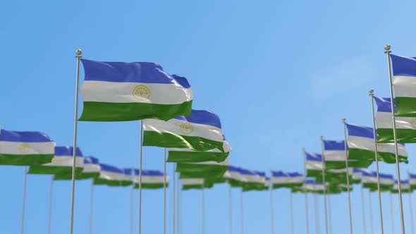 Bashkortostan Row Of Flags 3D Animation