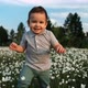 A Little Boy Runs and Smiles Across a Flower Meadow - VideoHive Item for Sale