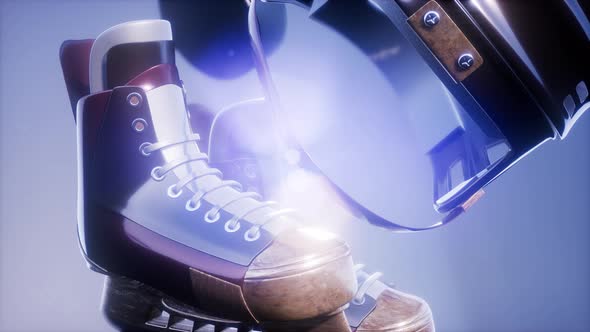 Flying Hockey Puck and Hockey Equipment alt