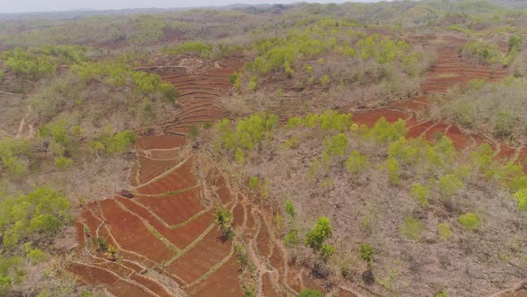 Agricultural Landscape in Asia