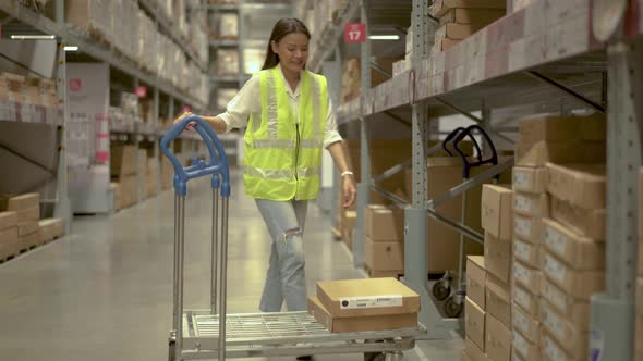 Employee female warehouse worker working in inventory with stacked up shelves in logistics factory