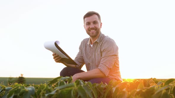 A Successful Farmer on His Plantation of Soybean Checks the Crop