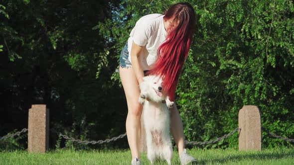 Happy Beautiful Woman with Red Hair Plays With A White Small Dog on Green Lawn in Park