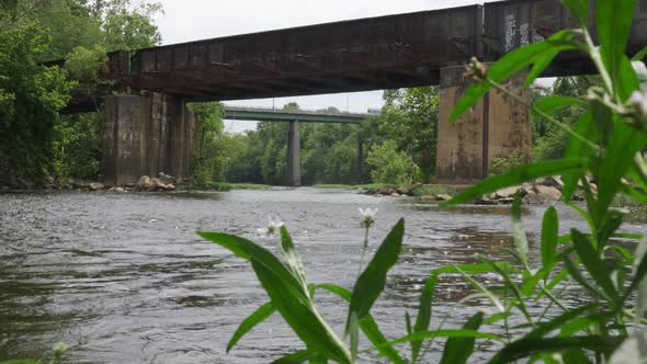 camera tracks left to river under bridge as bee flies around plants in foreground on an overcast