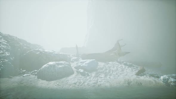 Rocky Cliff with Sand Beach in Deep Fog