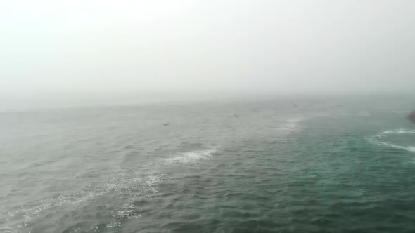 Aerial Follow of a Flock of Pelicans Over Foggy Ocean