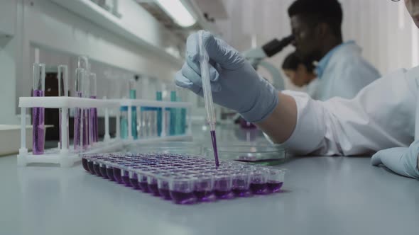 Close Up of Scientist Putting Solution into Microplate