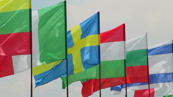 International Summit European Flags on Wind Day Time