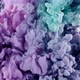 Purple and green ink paint drops in the water - VideoHive Item for Sale