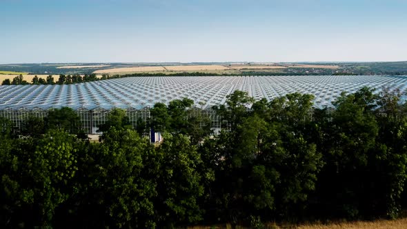 Aerial Top View of Venlo or Dutch Greenhouse Plant