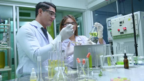 Scientists and assistants are in the oil and cannabis seed extractor room.