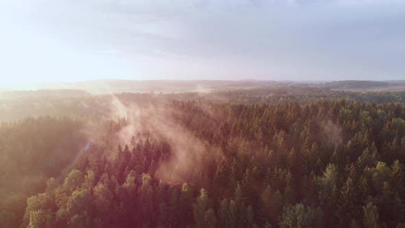 White Clouds of Steam are Illuminated By the Sun and Rise Above the Treetops