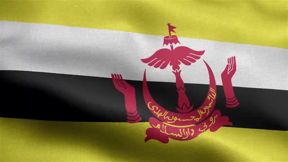 Brunei Flag Seamless Closeup Waving Animation