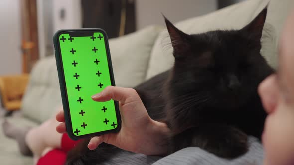 A Woman Lies on the Sofa with a Cat on Her Chest and Looks at the Green Screen of Her Mobile Phone