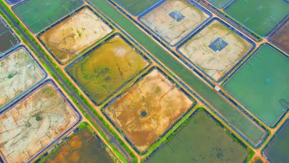 An aerial view over a drone flying over a large shrimp farm