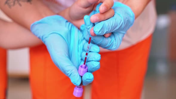 Female nurse taking blood into vial. 