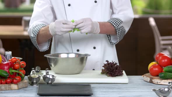 Chef Ripping Lettuce.