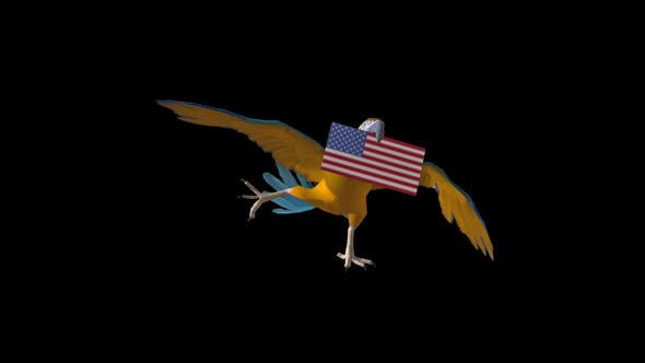 Parrot Carrying Flag- USA